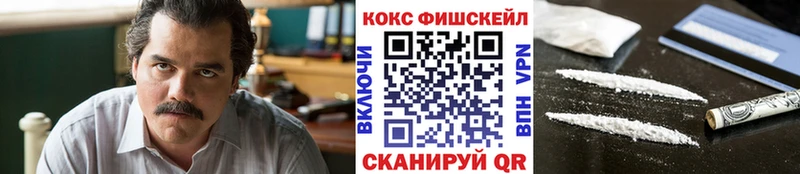 Кокаин Fish Scale  Купить  Долинск 