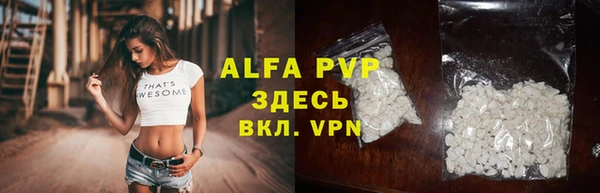 гашик Касимов