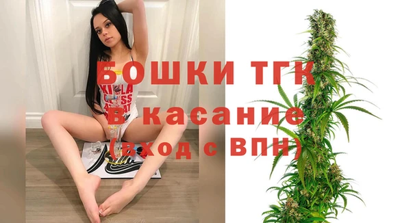 гашик Касимов